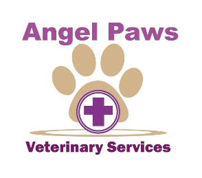 Donation to Angel Paws